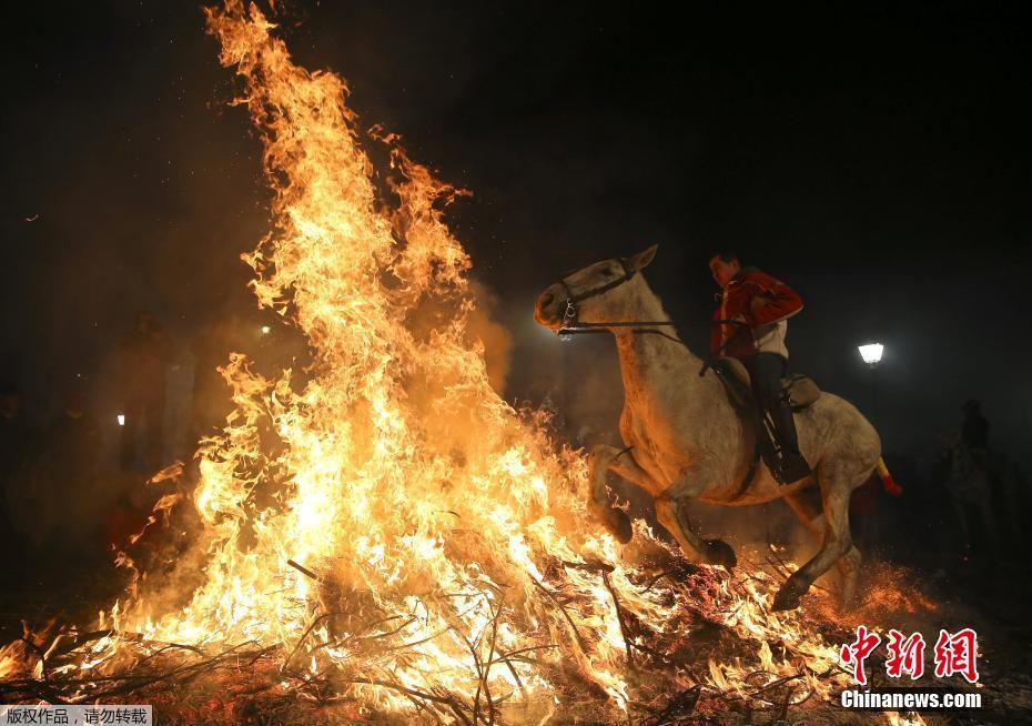 西班牙庆祝圣安东尼节 民众“骑马跳火”