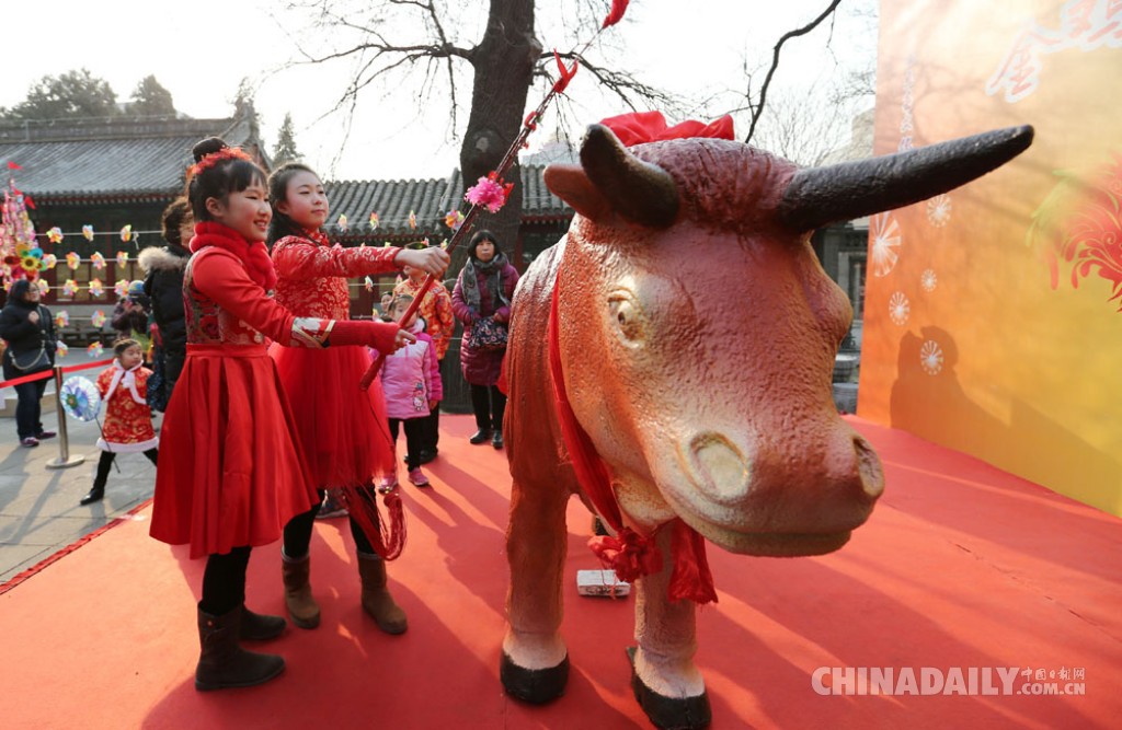 北京：立春打春牛