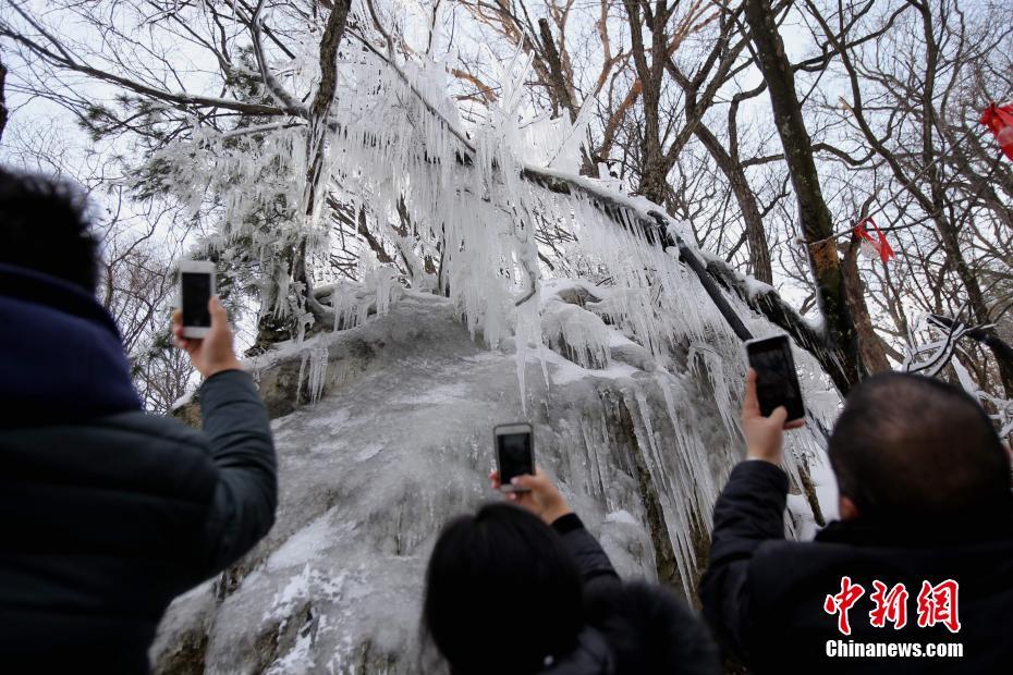 天气冷热不均似“过山车” 老君山雪后树挂成美景