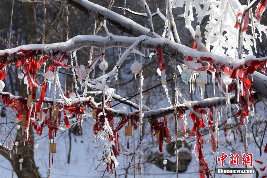 天气冷热不均似“过山车” 老君山雪后树挂成美景