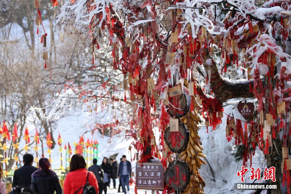 天气冷热不均似“过山车” 老君山雪后树挂成美景