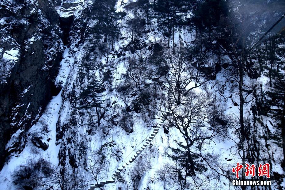 天气冷热不均似“过山车” 老君山雪后树挂成美景