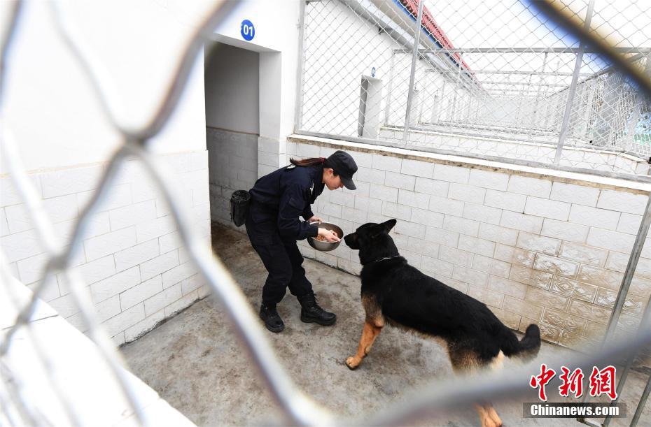 湖北警花与警犬“威利”战春运