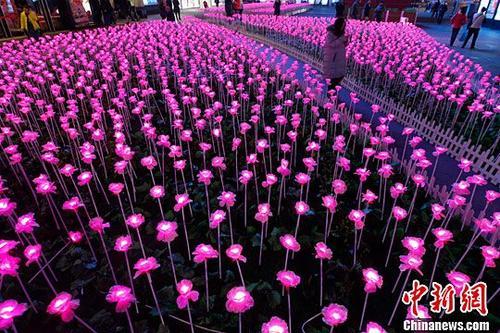 情人节将至 数千朵玫瑰花灯绽放京城