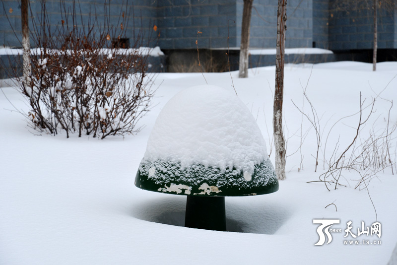 19小时大雪袭城 乌鲁木齐开启“刨”车模式