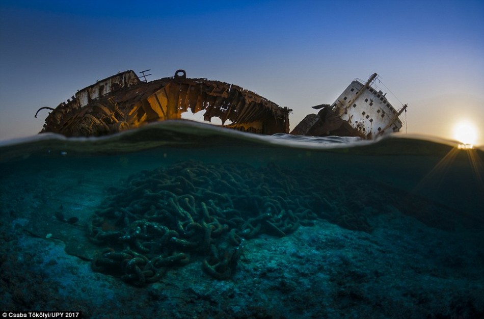 令人震撼的水下摄影：座头鲸吞食磷虾