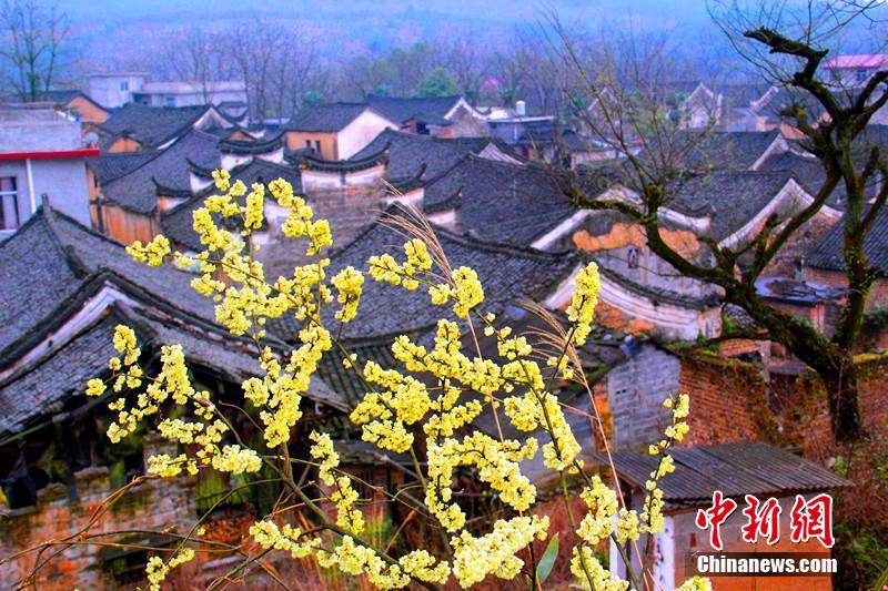湖南永州零陵发现明清时期古建筑群