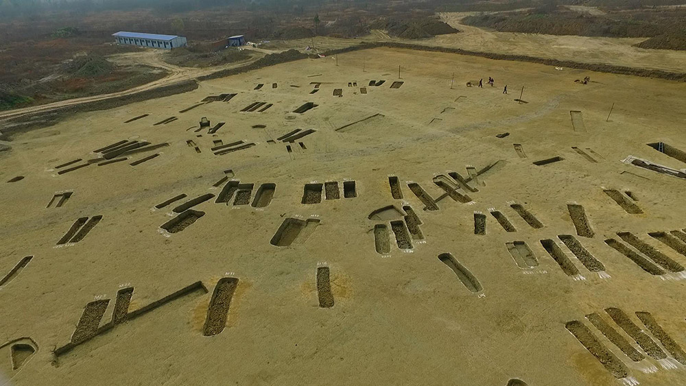 成都春秋战国大型船棺墓群出土青铜器540余件