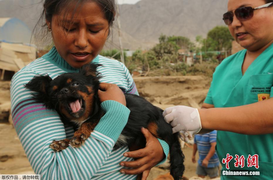 秘鲁洪灾惊险一幕 被困民众利用绳索洪水中突围