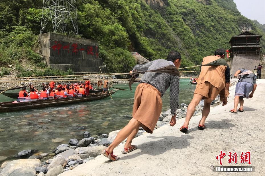 长江三峡纤夫文化节开幕 游客体验原始拉纤