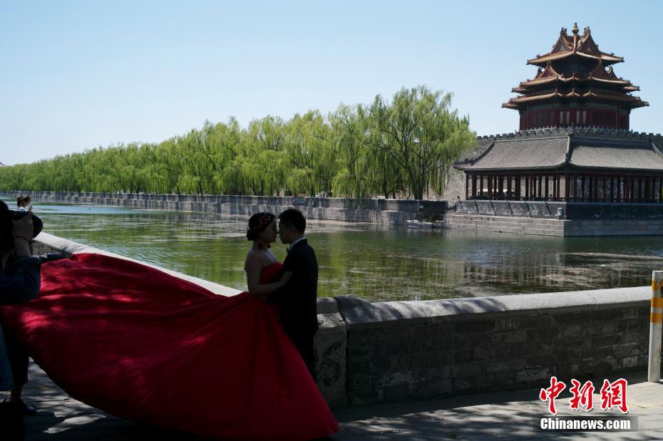 北京天气晴好 情侣故宫外拍摄婚纱照