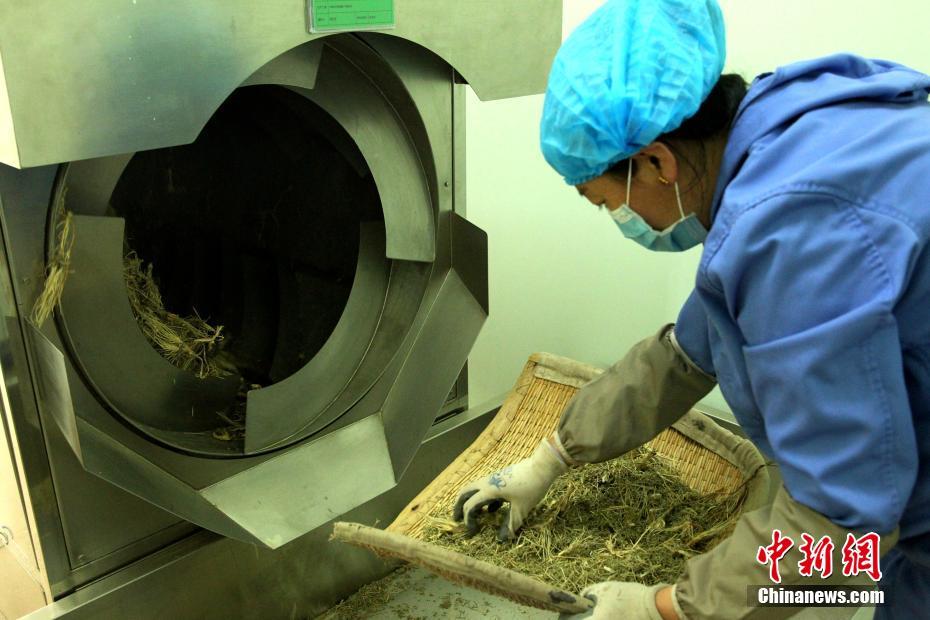 探访中国最大藏药制剂室 可生产12种藏药剂型