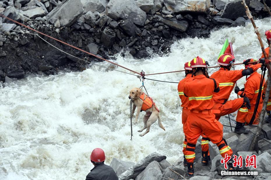 四川茂县山体垮塌 消防用绳桥将搜救犬送到核心区