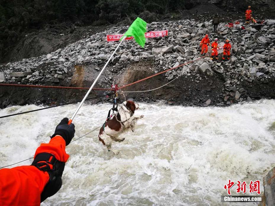 四川茂县山体垮塌 消防用绳桥将搜救犬送到核心区