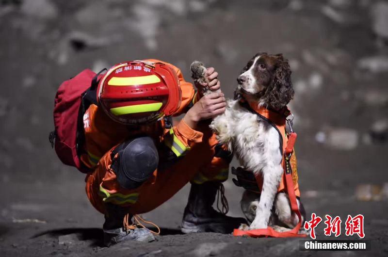 四川茂县山体垮塌 消防用绳桥将搜救犬送到核心区