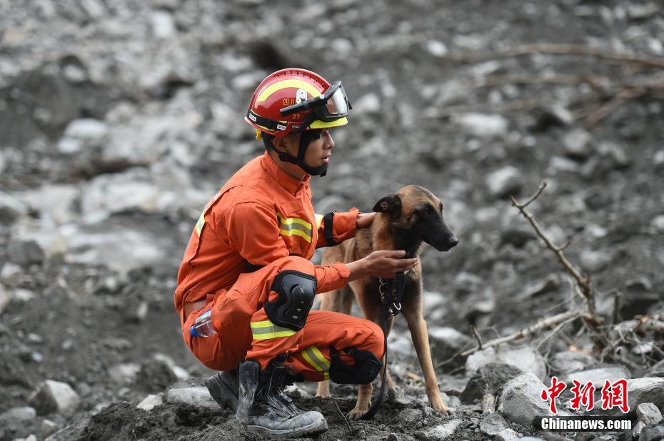 四川茂县山体垮塌 消防用绳桥将搜救犬送到核心区