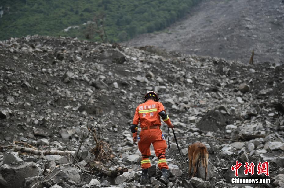 四川茂县山体垮塌 消防用绳桥将搜救犬送到核心区