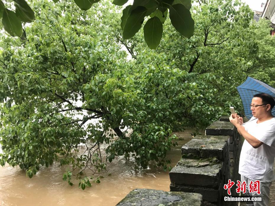 直击暴雨侵袭下的浙江兰溪 水位猛涨汛情告急
