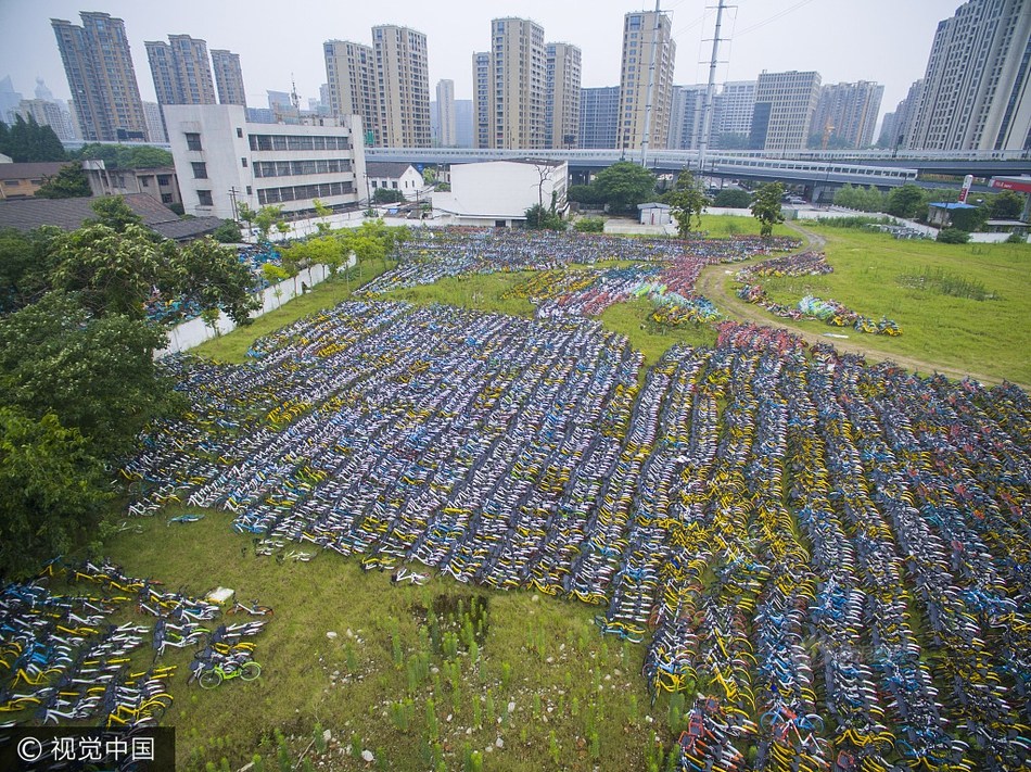 共享单车被弃荒野 空地秒变单车“墓地”【图】