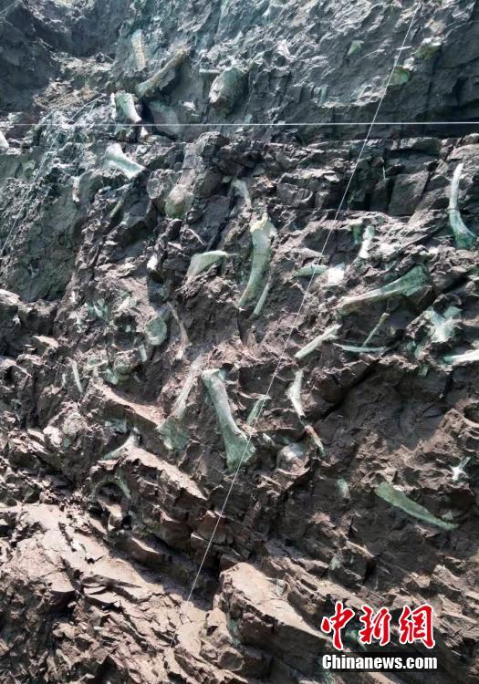 重庆发现世界级恐龙化石群 150米长“恐龙化石墙”吸引眼球
