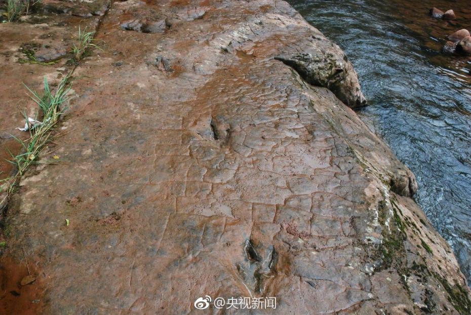 河滩出现“脚印” 竟是一亿年前恐龙足迹
