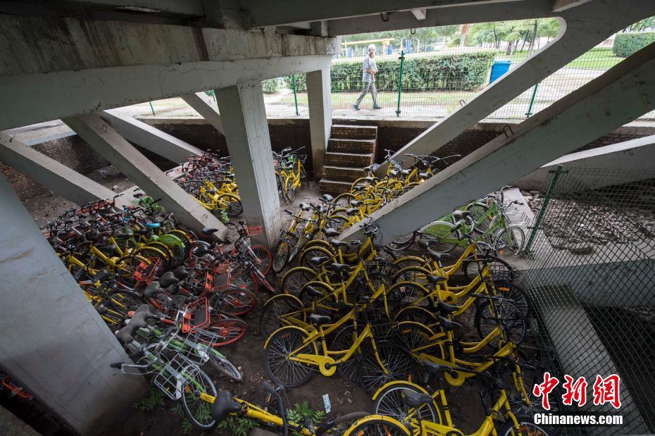 太原近百辆共享单车被锁桥下