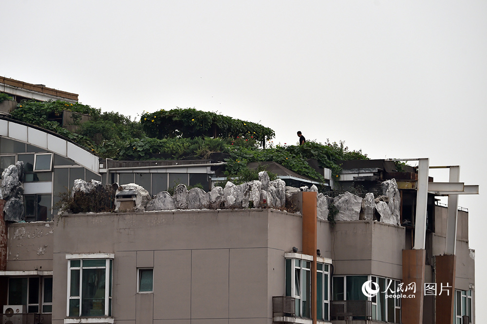 人济山庄楼顶再现绿植 北京“最牛违建”4年全记录