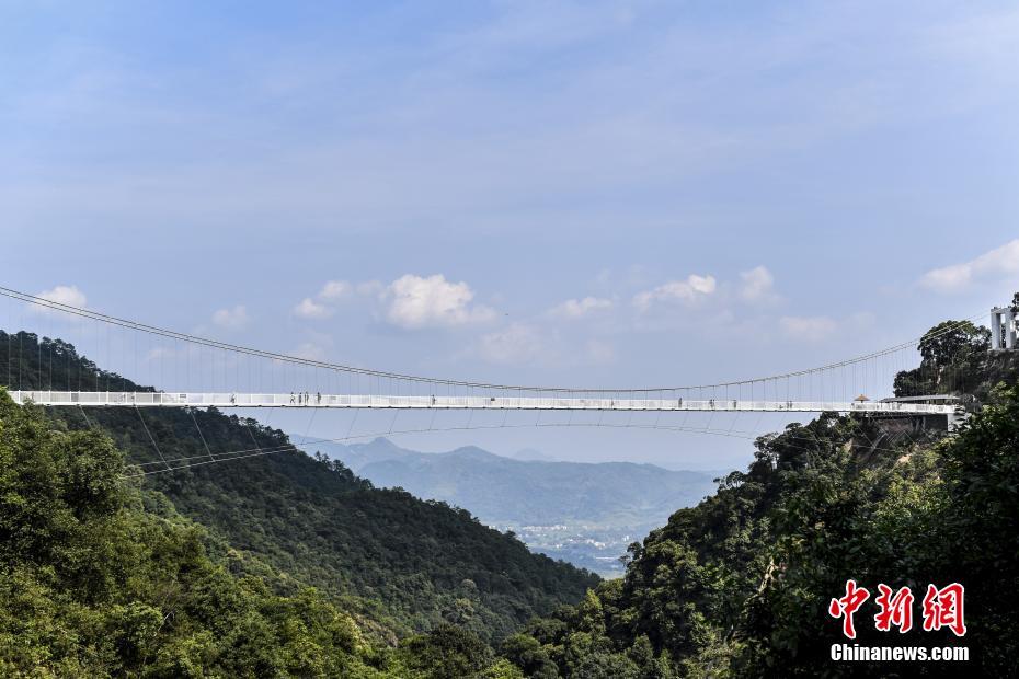 航拍316米广东最长玻璃桥