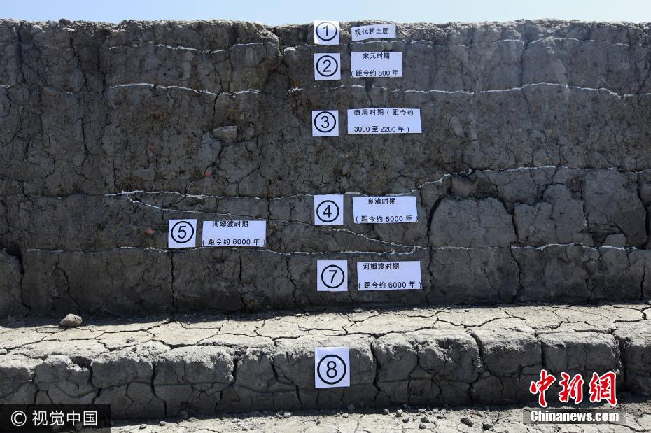 宁波发掘距今约5800年新石器时代遗址