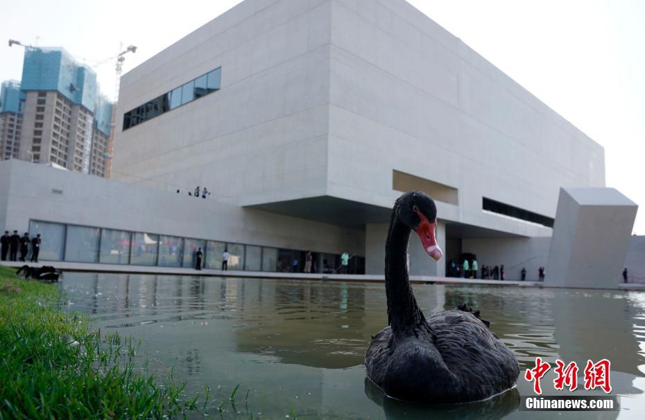 中国国内首个博物馆级的影像艺术馆在长沙落成