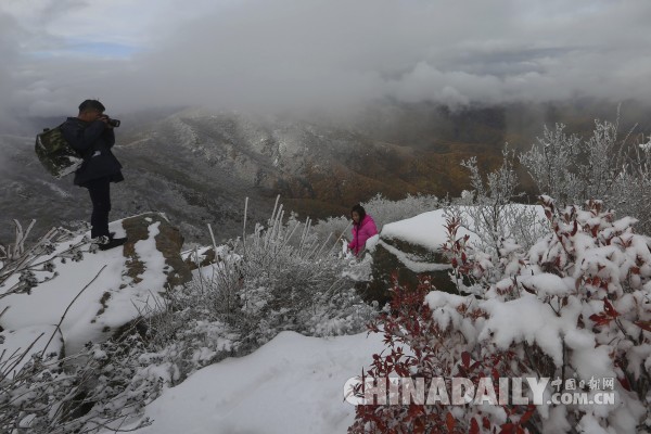 下雪啦！北京局地迎来2017年下半年第一场雪