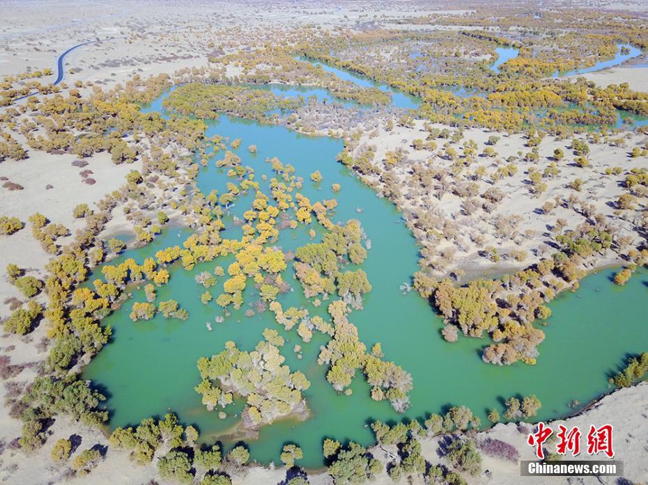 航拍新疆塔里木河生态输水场面壮观