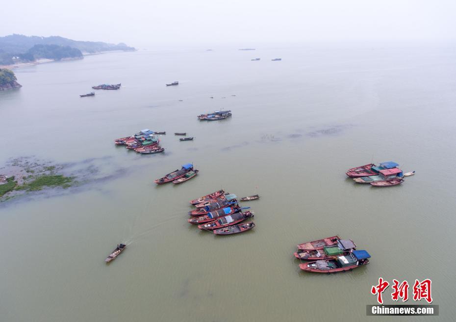 上游来水增多 中国最大淡水湖鄱阳湖水面增加