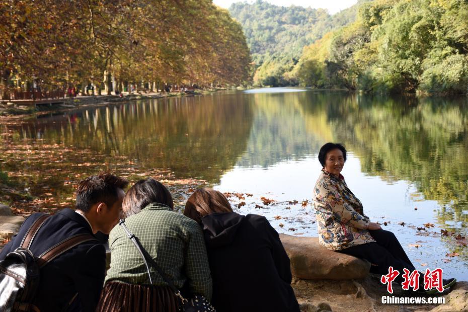 贵州贵阳花溪区“黄金大道”秋色美