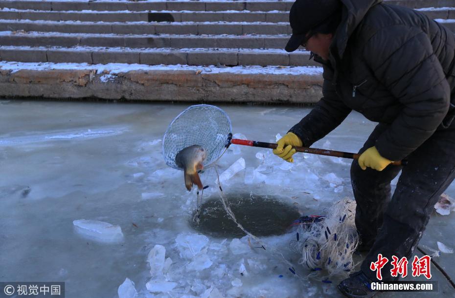 民众松花江上凿冰冬捕 一网打上十多条大鲤鱼