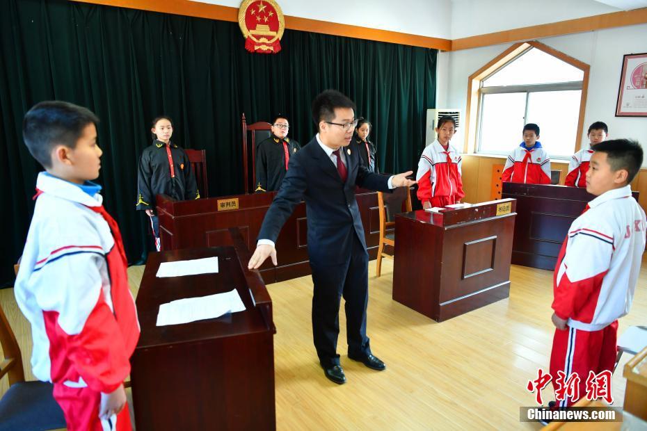 国家宪法日 河北小学生模拟法庭当“小法官”