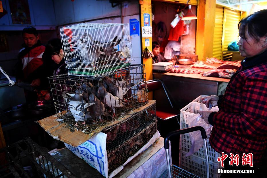 云南省确诊1例H7N9病例 活禽市场未受影响