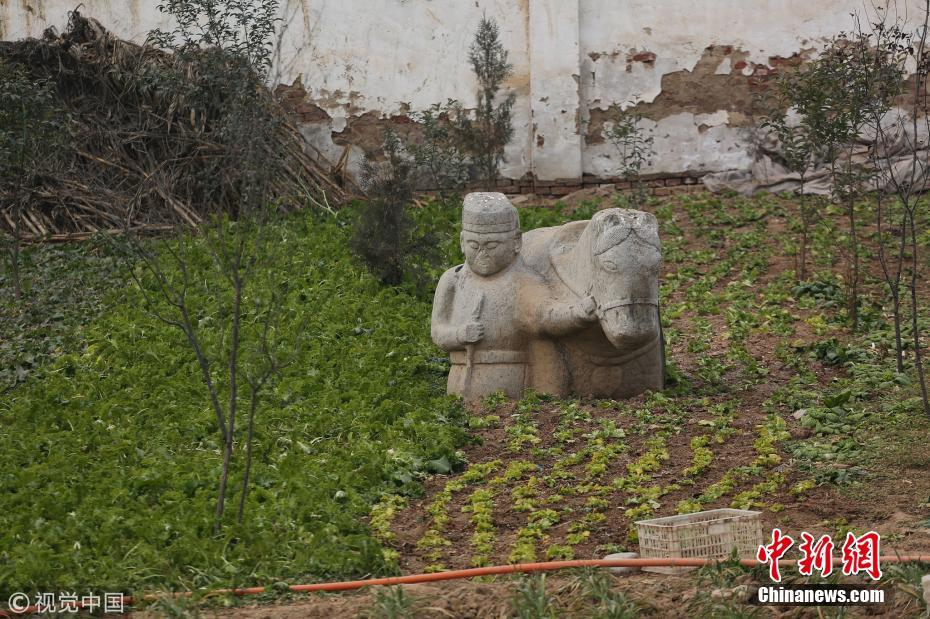 西安“宣王墓”成菜地 文物周围种满蔬菜