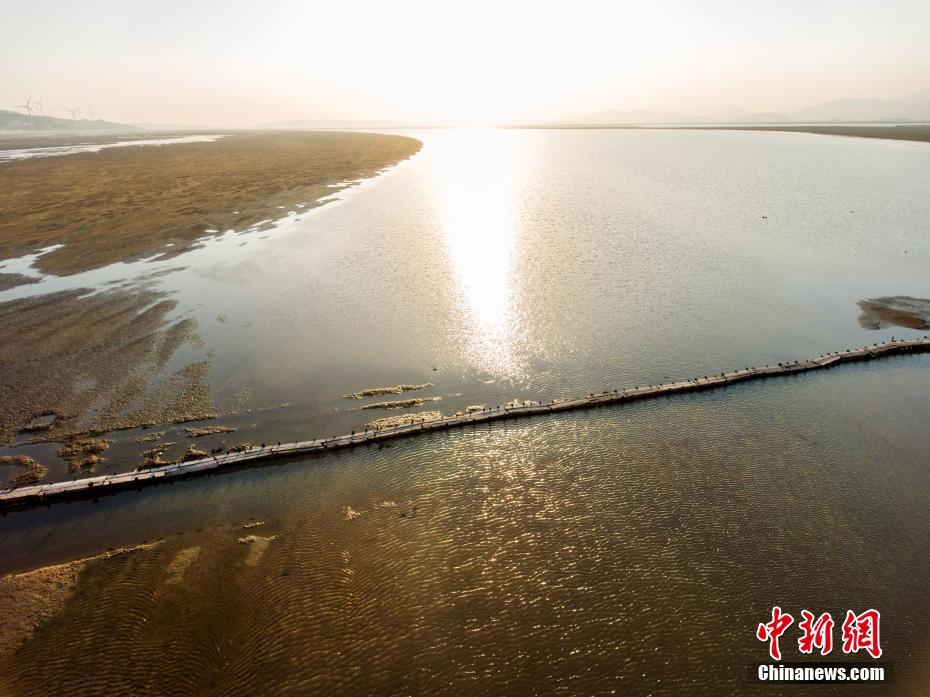 鄱阳湖水位下降 千眼桥大修后首次露出水面