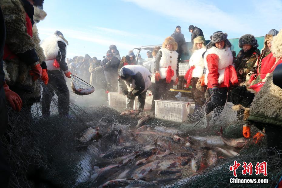 五大连池冬捕活动 8万斤“矿泉鱼”跃冰而出