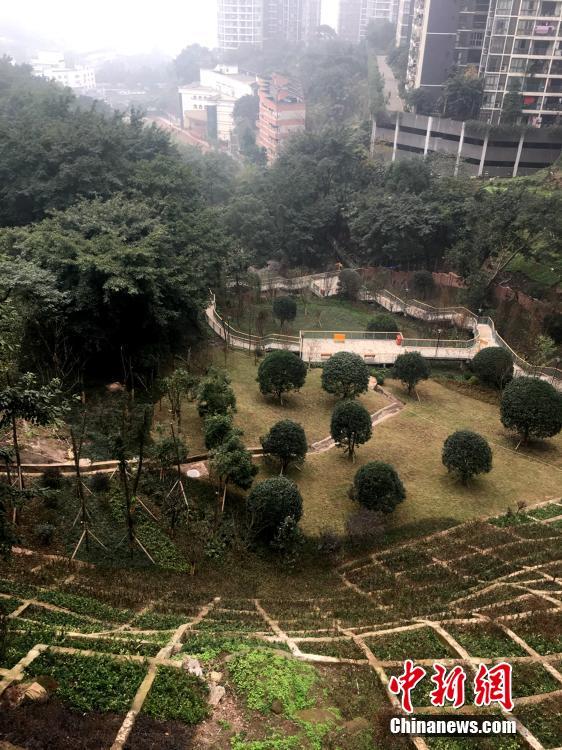 重庆一公园现“悬空栈道” 落差近70米