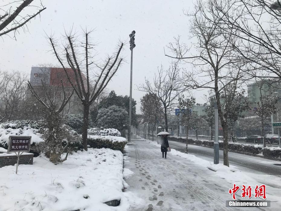 南京开启“暴雪”模式“秒变”雪城