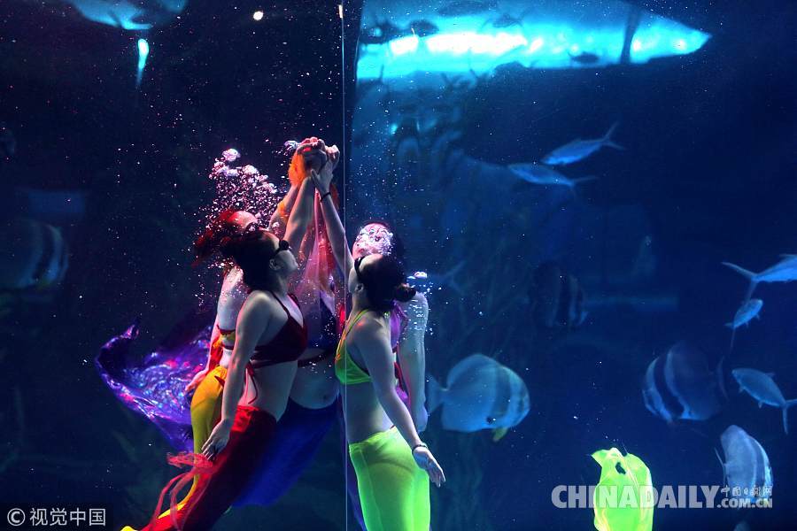 济南海底世界“美人鱼”上演水下童话故事