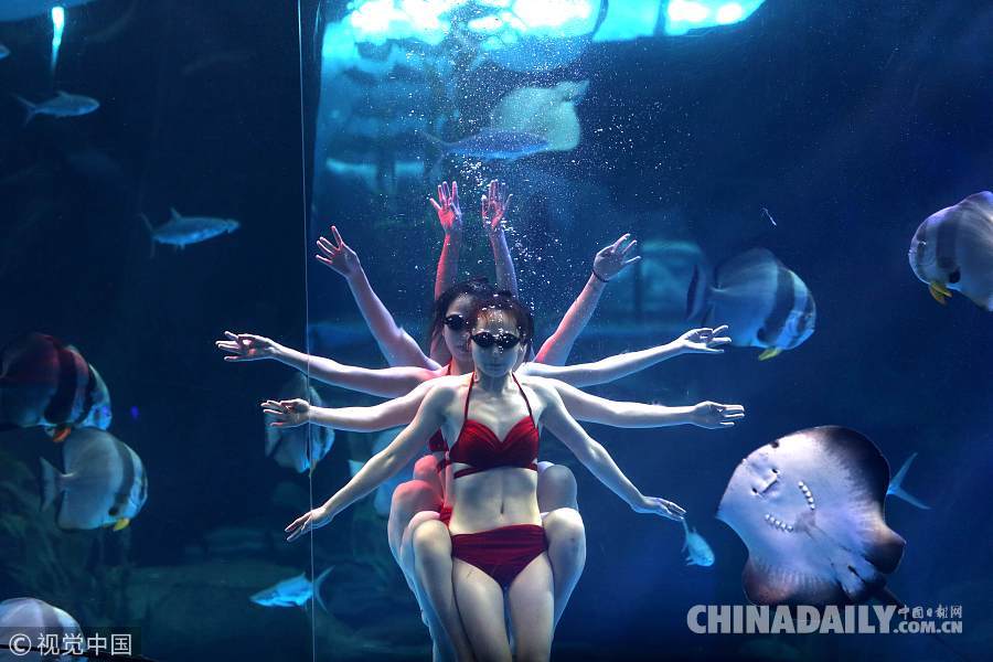 济南海底世界“美人鱼”上演水下童话故事
