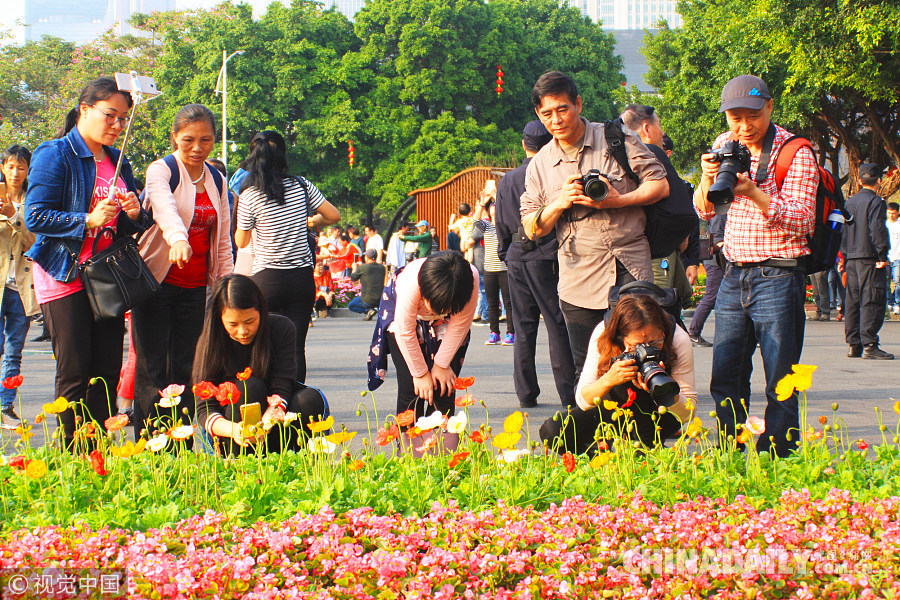 广州园林博览会开幕 民众置身花海竞相拍照