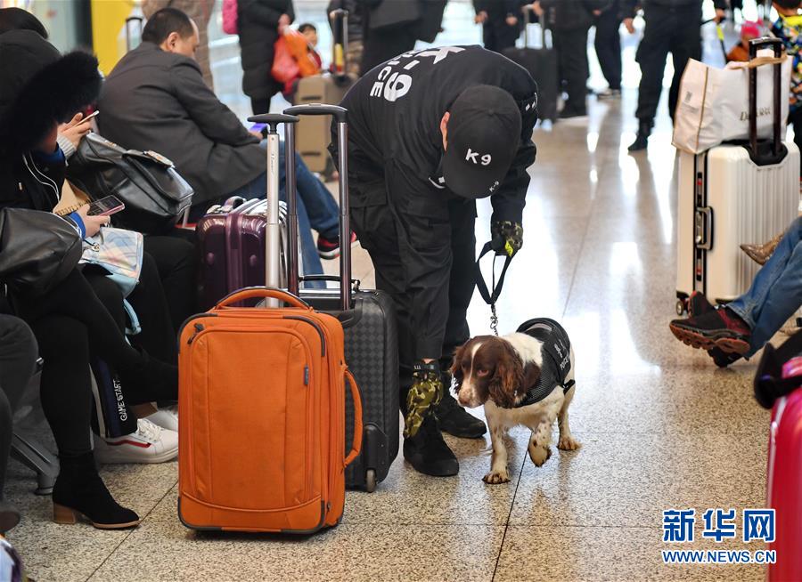 石家庄：警犬上阵 护航春运