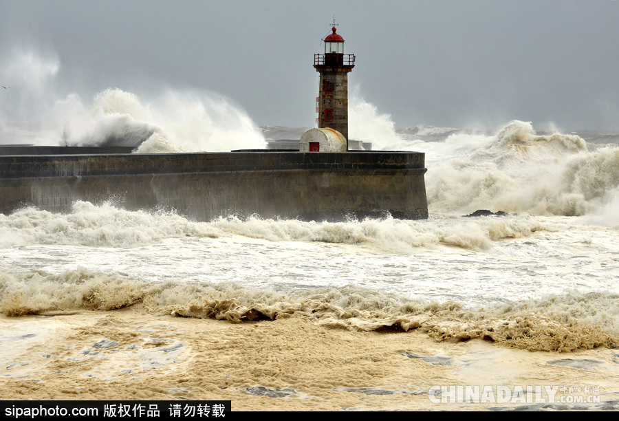葡萄牙海上天气恶劣巨浪滔天 民众淡定自拍合影