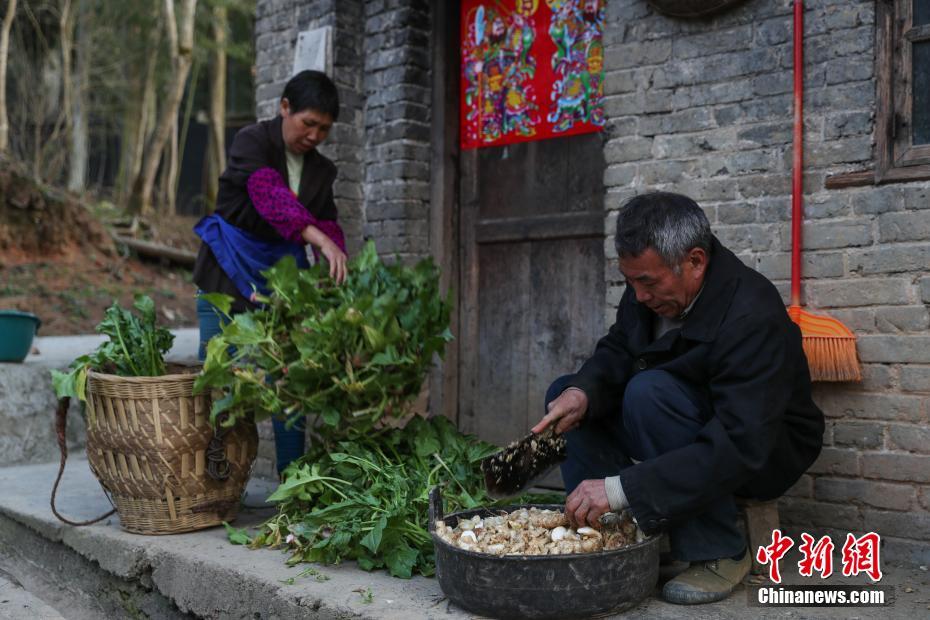 大山深处与树为伴的四位男子