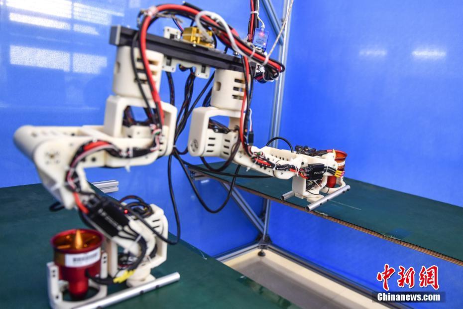广东工业大学团队突破仿人机器人跨步距离