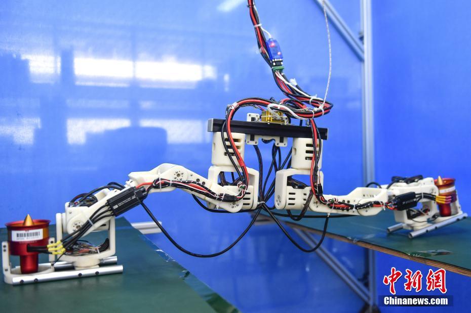 广东工业大学团队突破仿人机器人跨步距离